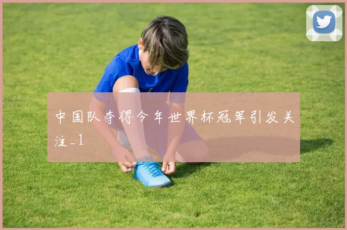 中国队夺得今年世界杯冠军引发关注_1