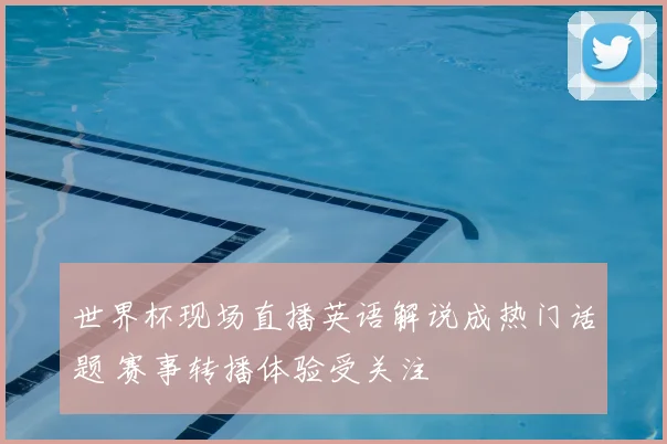 世界杯现场直播英语解说成热门话题 赛事转播体验受关注