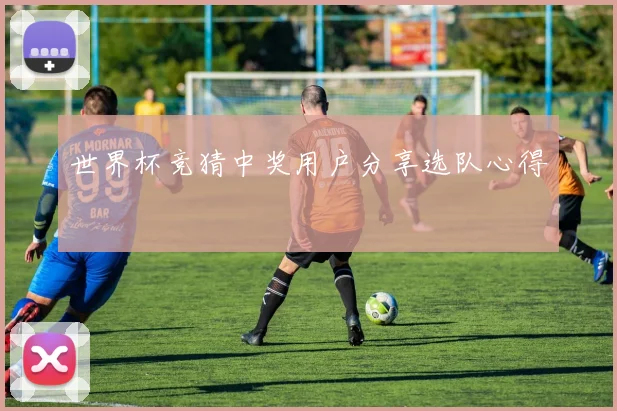 世界杯竞猜中奖用户分享选队心得
