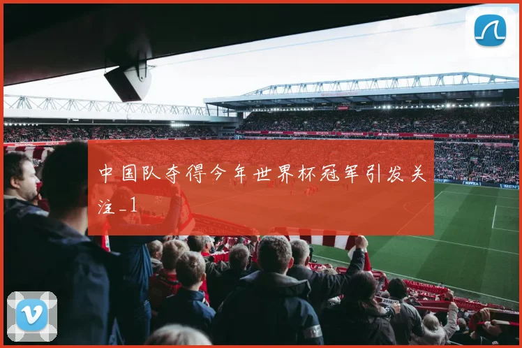 中国队夺得今年世界杯冠军引发关注_1